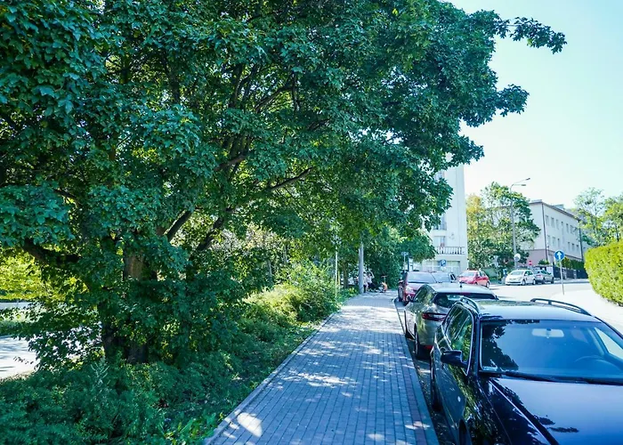 Charming Boulevard 格丁尼亚